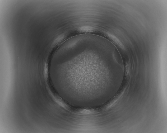 X0000111580494200907161428