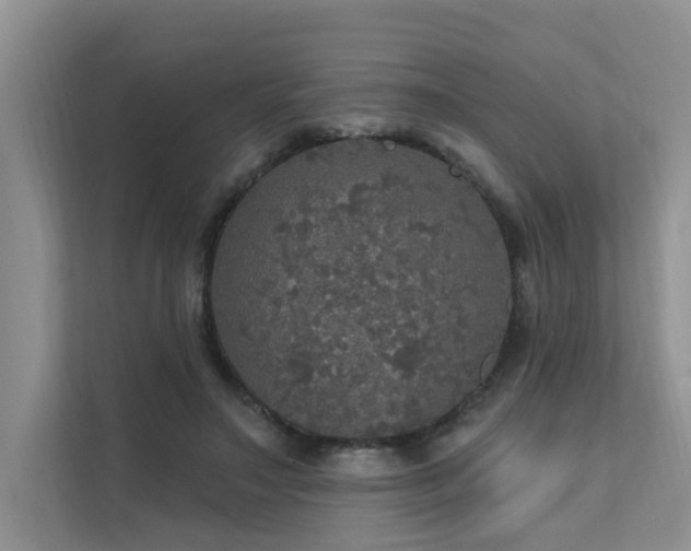 X0000111580499200907161428