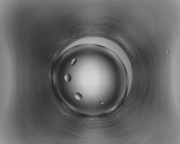 X0000111580500200907161428