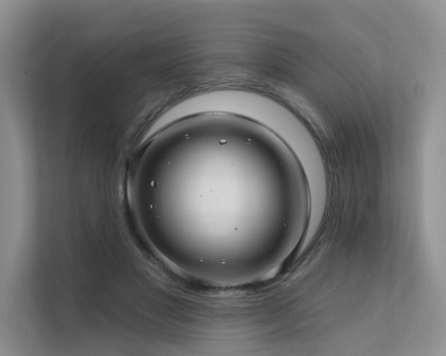 X0000111580501200907161428