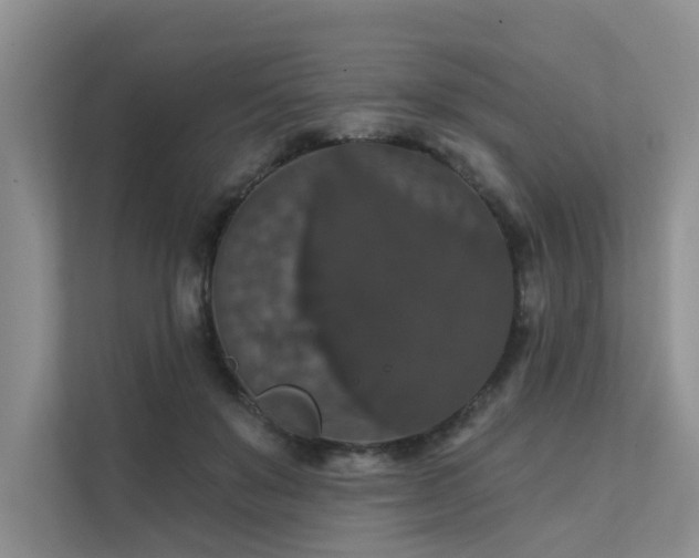 X0000111580503200907161428