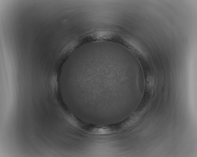 X0000111580506200907161428