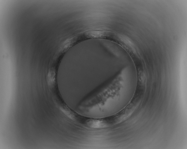 X0000111580507200907161428