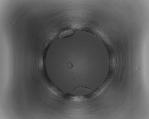X0000111580508200907161428