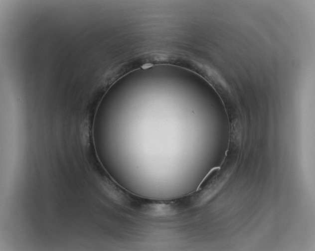 X0000111580509200907161428