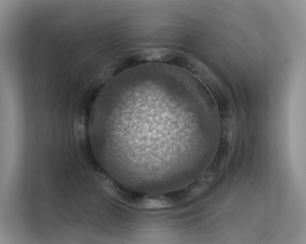 X0000111580510200907161428