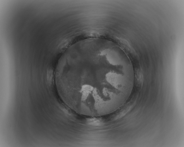 X0000111580511200907161428