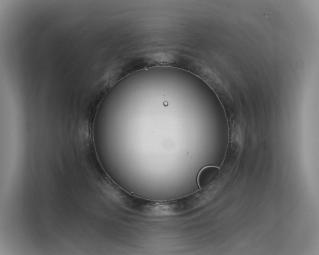 X0000111580518200907161427