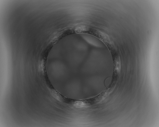 X0000111580519200907161427