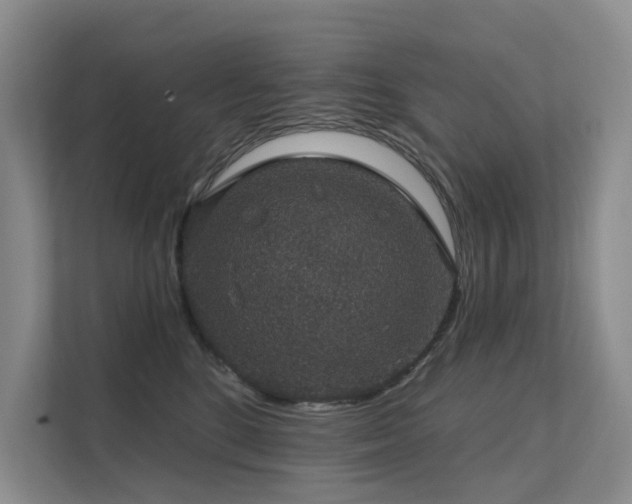 X0000111580520200907161427