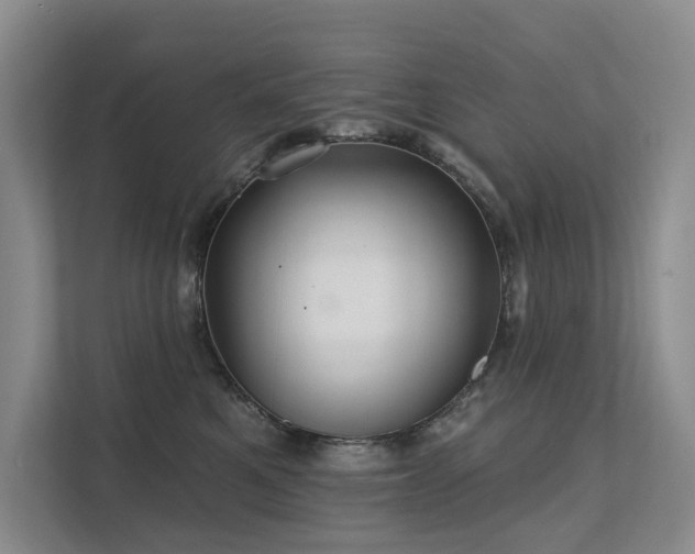 X0000111580521200907161427