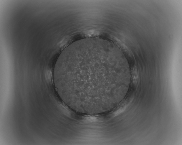 X0000111580523200907161427