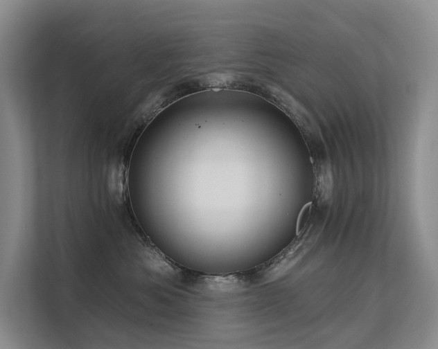 X0000111580525200907161427
