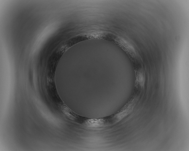 X0000111580526200907161427