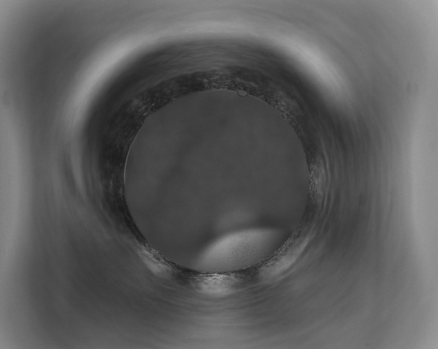 X0000111580527200907161427