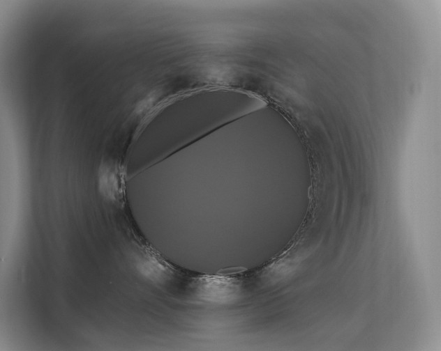 X0000111580528200907161427