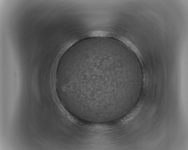 X0000111580529200907161427