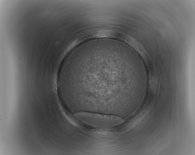 X0000111580530200907161427