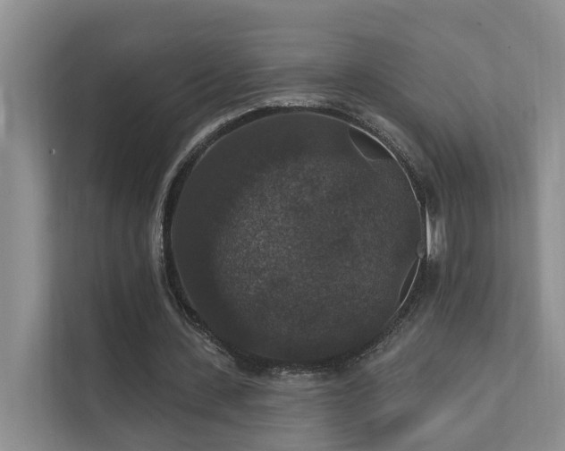 X0000111580531200907161427
