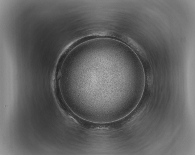 X0000111580532200907161427