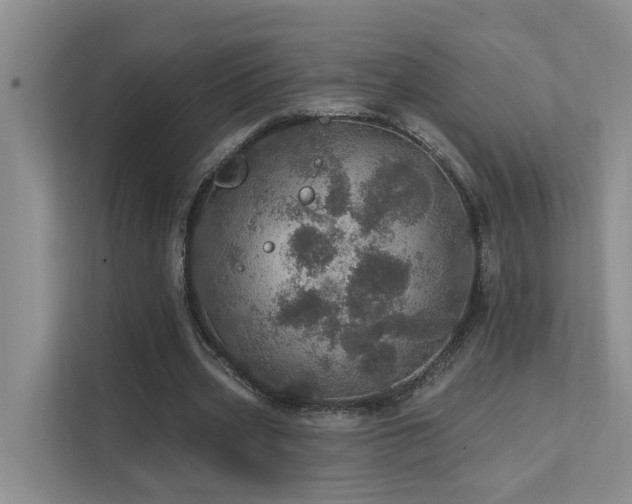 X0000111580533200907161427