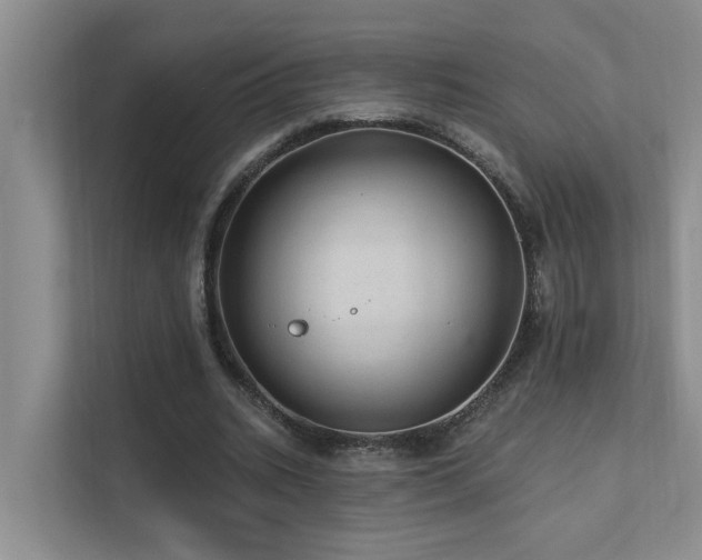 X0000111580535200907161427