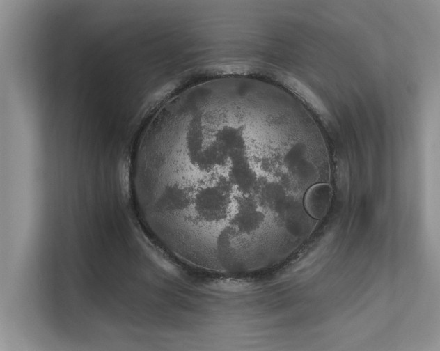 X0000111580537200907161427