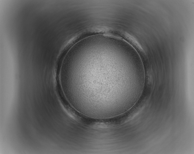 X0000111580538200907161427