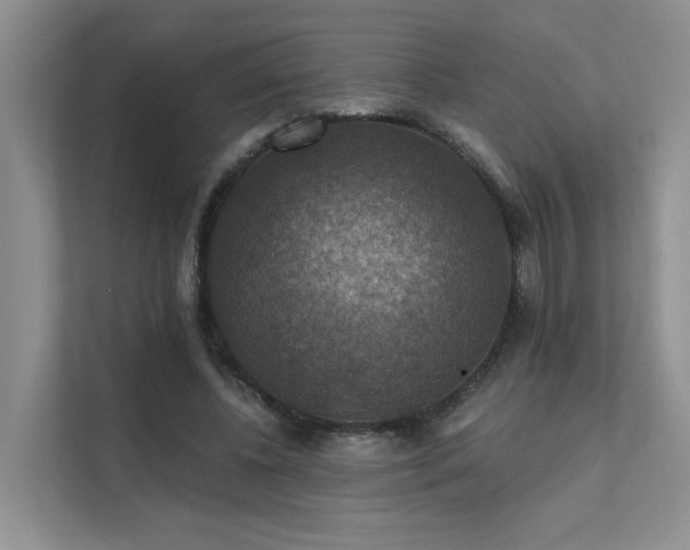 X0000111580540200907161427