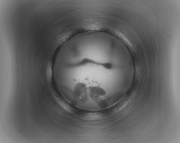 X0000111580541200907161427