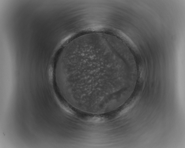 X0000111580542200907161427