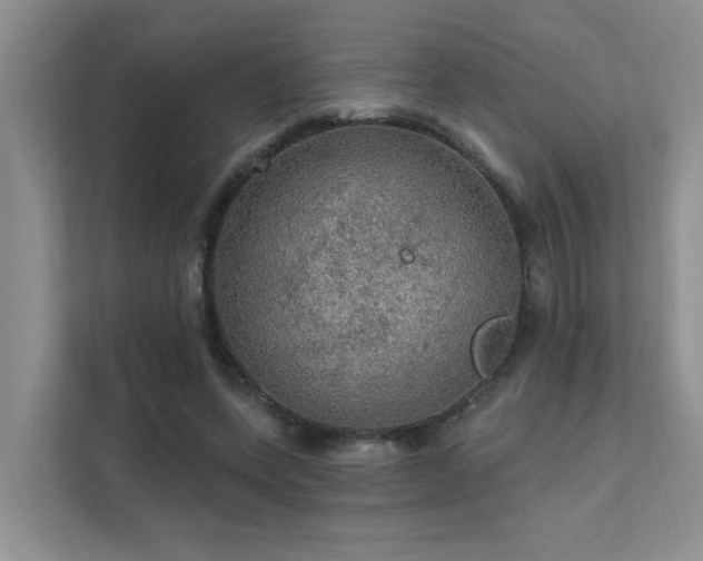 X0000111580543200907161427