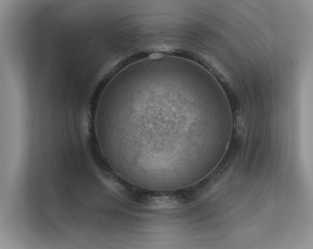 X0000111580544200907161427