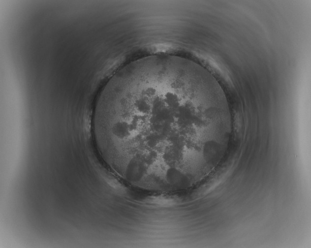 X0000111580545200907161427