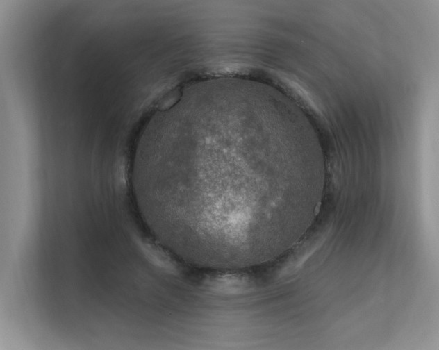 X0000111580546200907161427