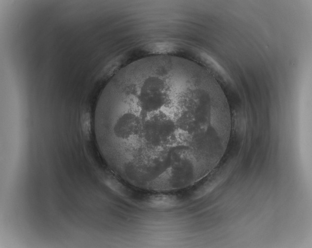 X0000111580549200907161427