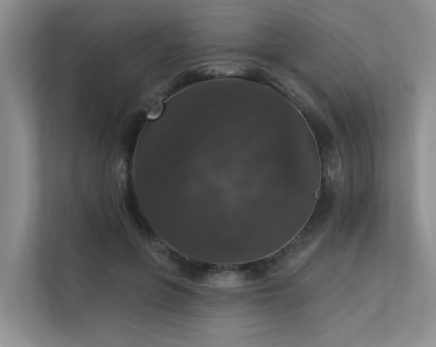 X0000111580551200907161427