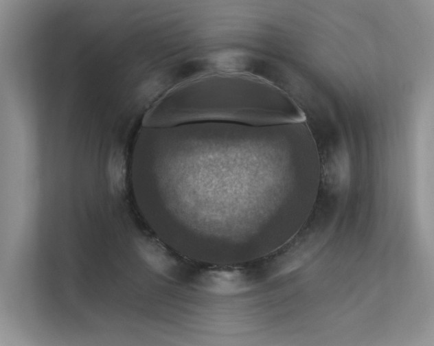X0000111580552200907161427