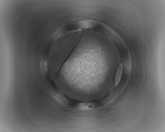 X0000111580556200907161427