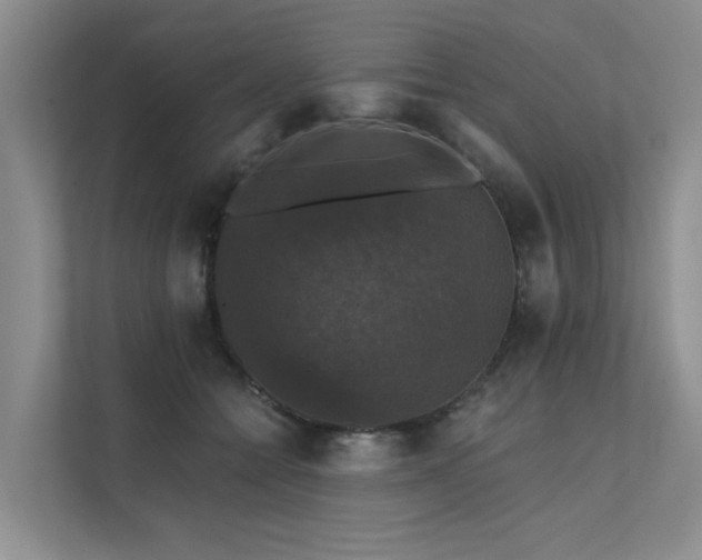 X0000111580558200907161427
