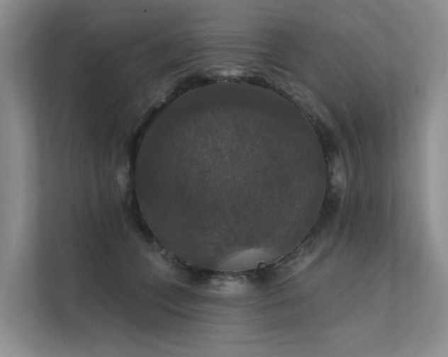 X0000111580559200907161427