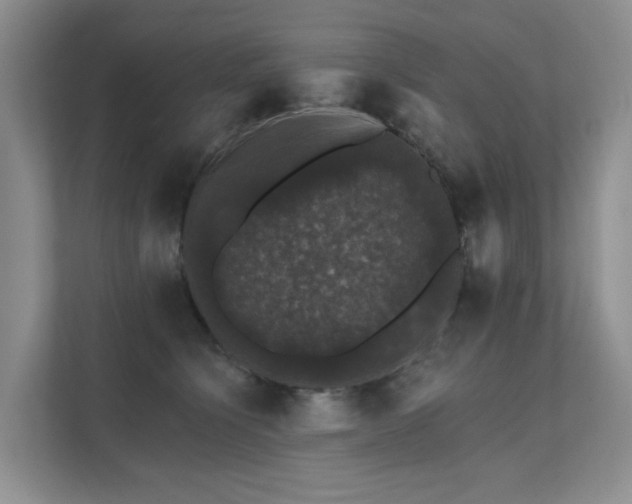 X0000111580564200907161427