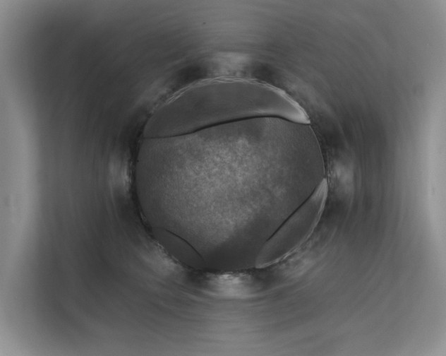 X0000111580566200907161427
