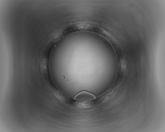 X0000111580567200907161427