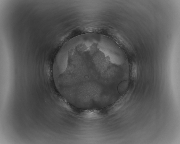 X0000111580569200907161427