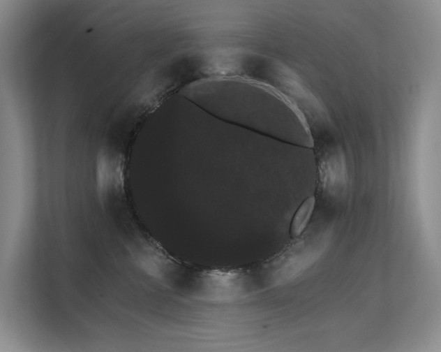 X0000111580570200907161427