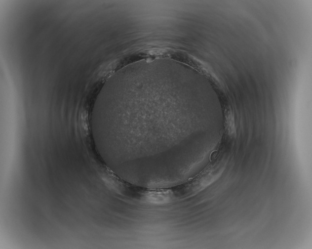 X0000111580571200907161427