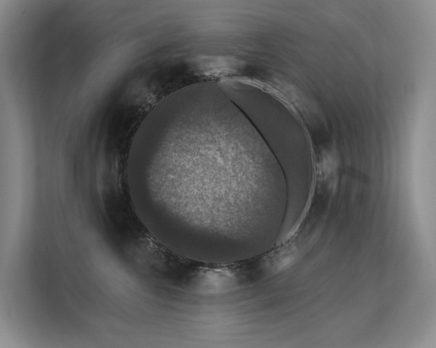 X0000111580572200907161427