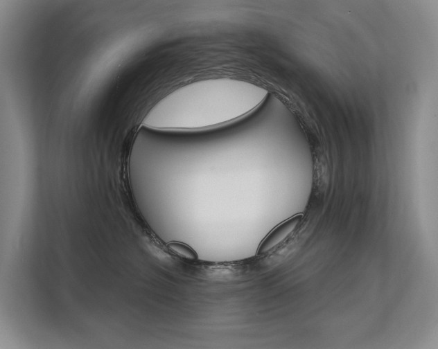 X0000111580574200907161427