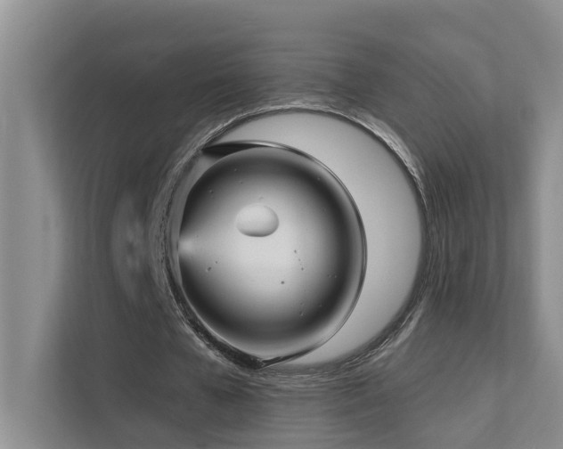 X0000111580577200907161427